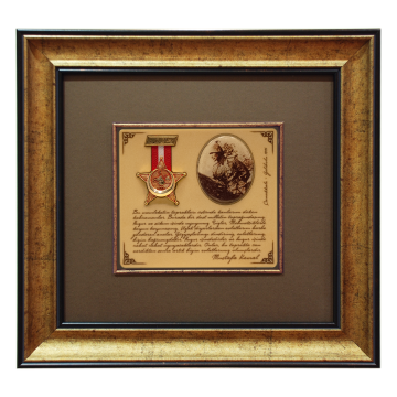 Atatürk and Çanakkale Medal